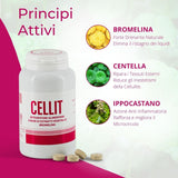 CELLIT