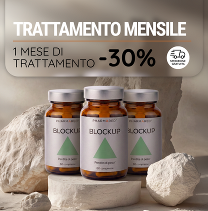 Block Up 1 mese