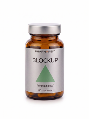 Block Up