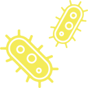 Favorisce l'equilibrio della flora intestinale
