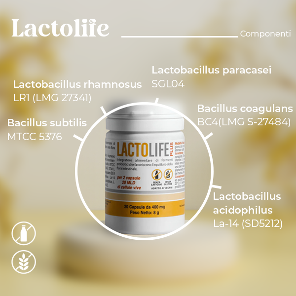 Lactolife Plus